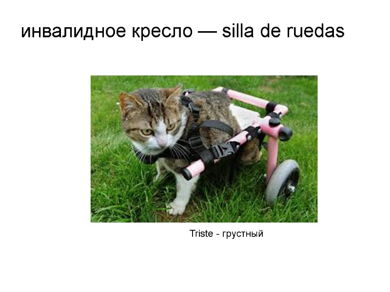 инвалидное кресло — silla de ruedas Triste - грустный